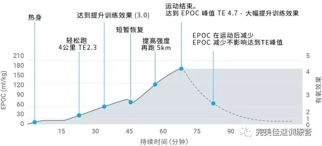 24小时心率变化曲线图图片