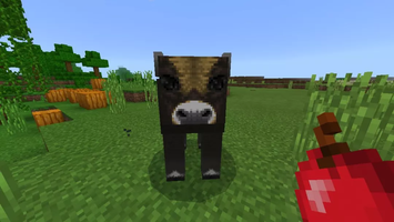 原创我的世界有玩家提出骑牛方法还能装东西羊驼感觉受到威胁了