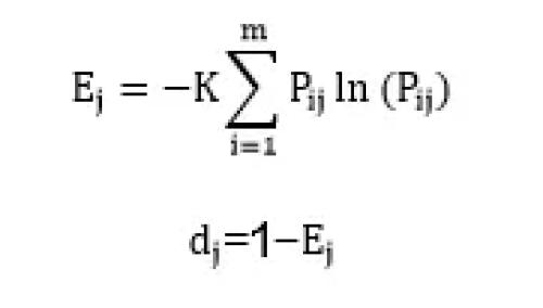 不通过,则返回第二步重新选择解释变量; 第五步,通过熵值法计算权重