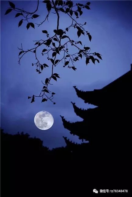(今日头条)明月美景两相映 天台各地欢度中秋佳节.