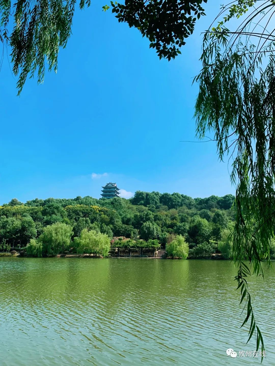 攸县城中心的一幅画,攸州公园是被你遗忘的明珠吗?