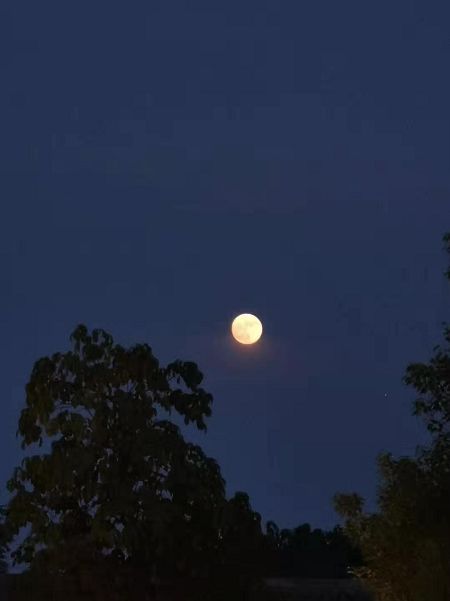 必须c位出道今晚的月亮它又大又圆超多美照爆出930新闻眼