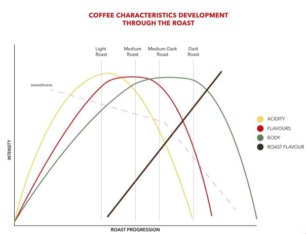 12款咖啡烘焙曲线图片
