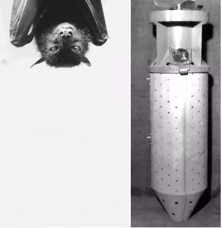 19张过于真实的图片看完整个人不好了