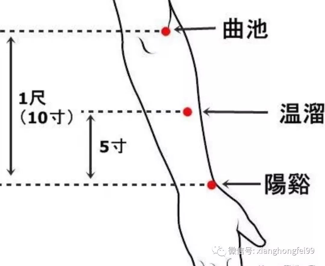 高血压点的准确位置图图片