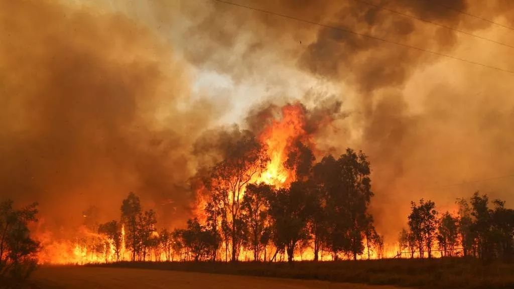 澳洲地狱级山火失控80起火灾数千人无家可归消防员逆行而上最后一幕让