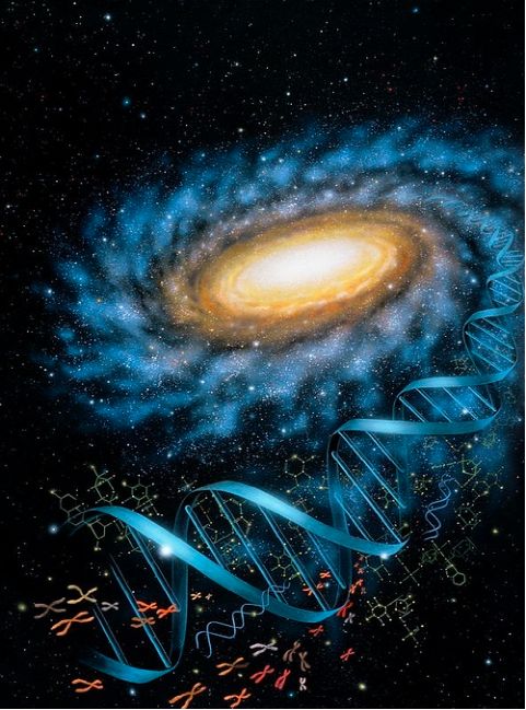 dna并非地球之物,科学家找到信号,人类或是真正的地外生物