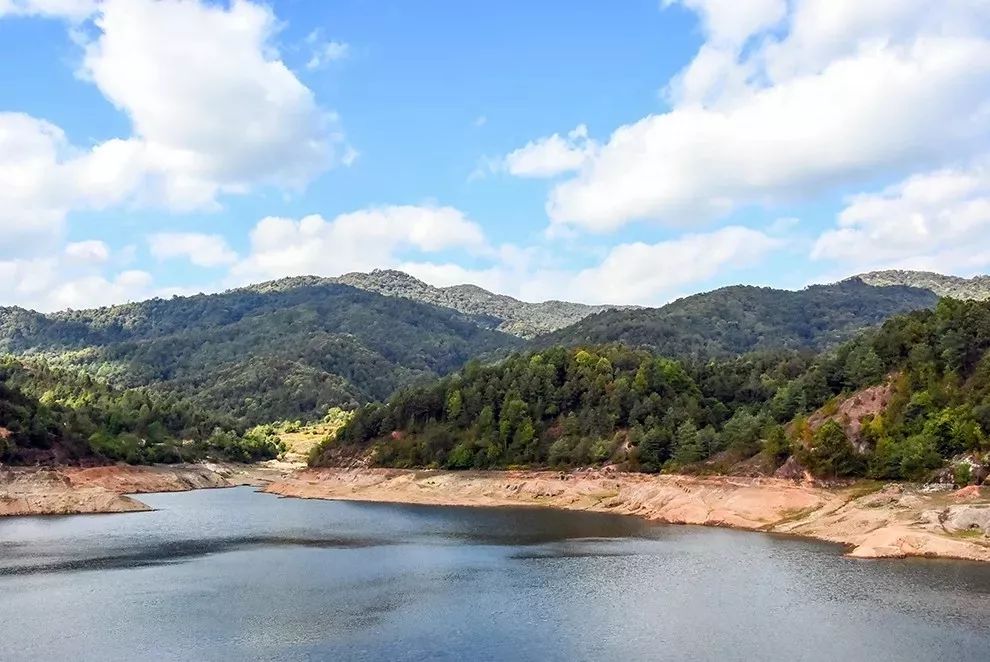 普洱茶从入门到精通 | 带你走近勐库茶区(东半山篇)_勐库镇