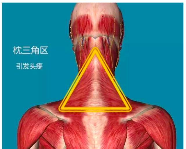 人体有八大危险三角区,你应该知道!