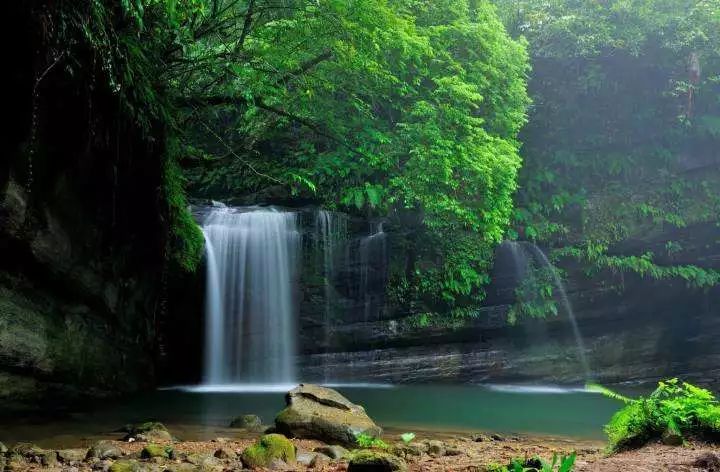 禅诗欣赏丨白云泉