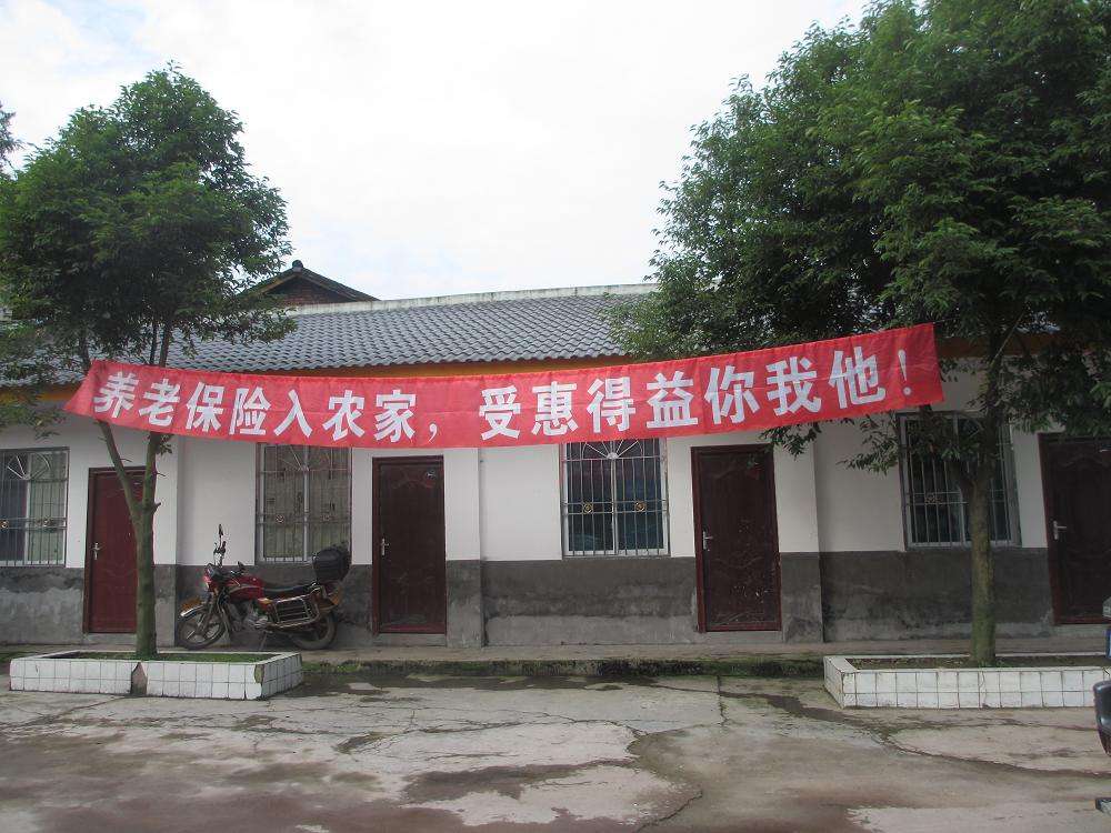 原创新农保交了20年每年交500元60岁能领多少钱