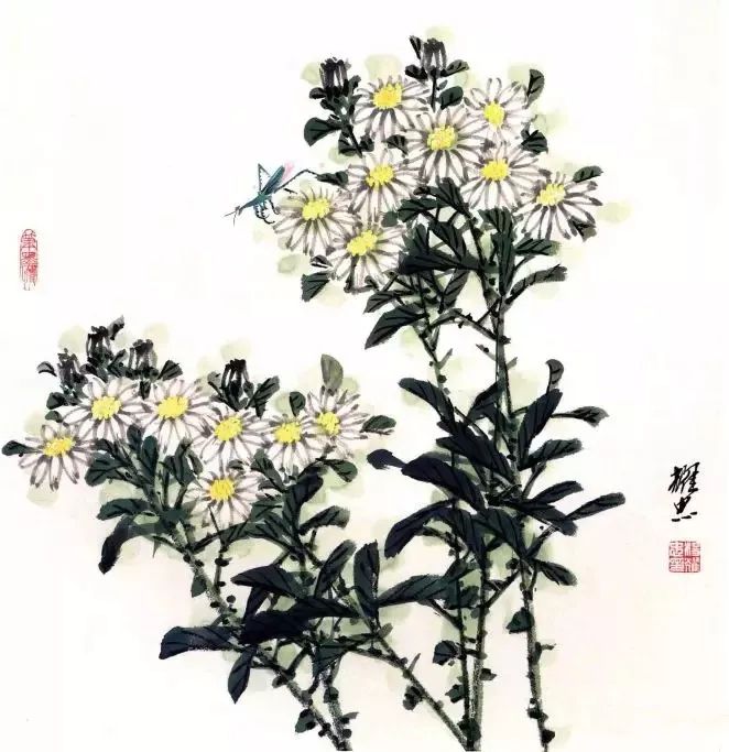 国画教程:写意画菊入门_花瓣