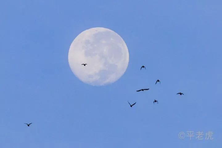 十五月亮十六圆如何利用月亮拍出有意境的照片