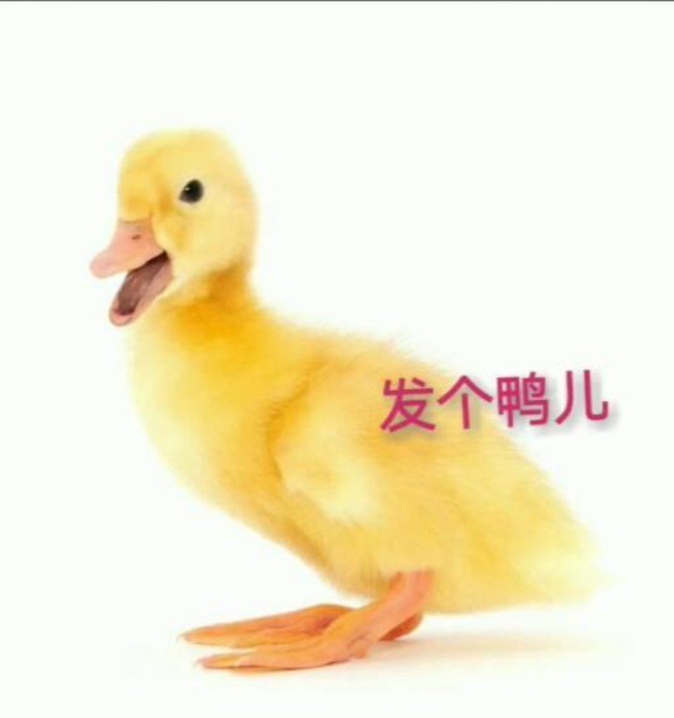 中秋节老板发了什么?网友:发脾气