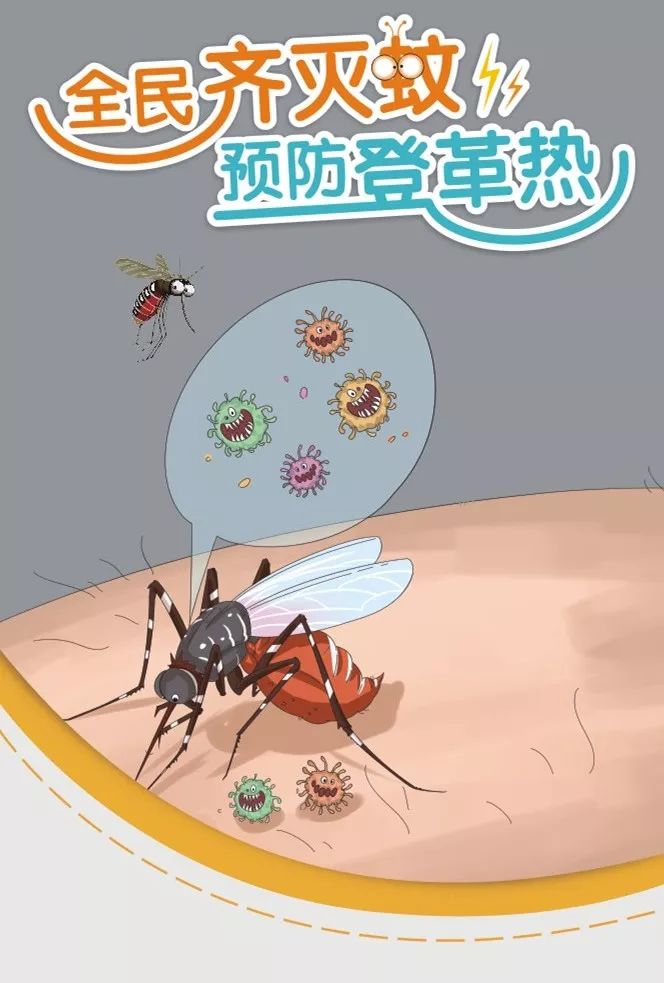 国际真皮大世界| 预防登革热!一图带你了解登革热那些事