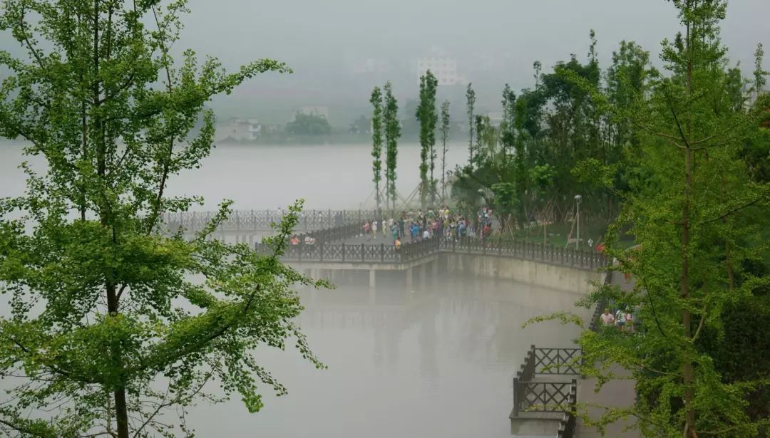 与慈朗湖湿地公园的幽静惬意不同,龙湾湖湿地公园位于天全最为繁华的