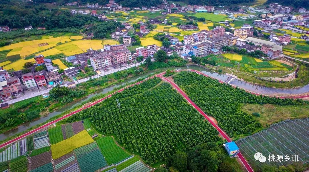 中国农民丰收节这天永春将在这里狂欢