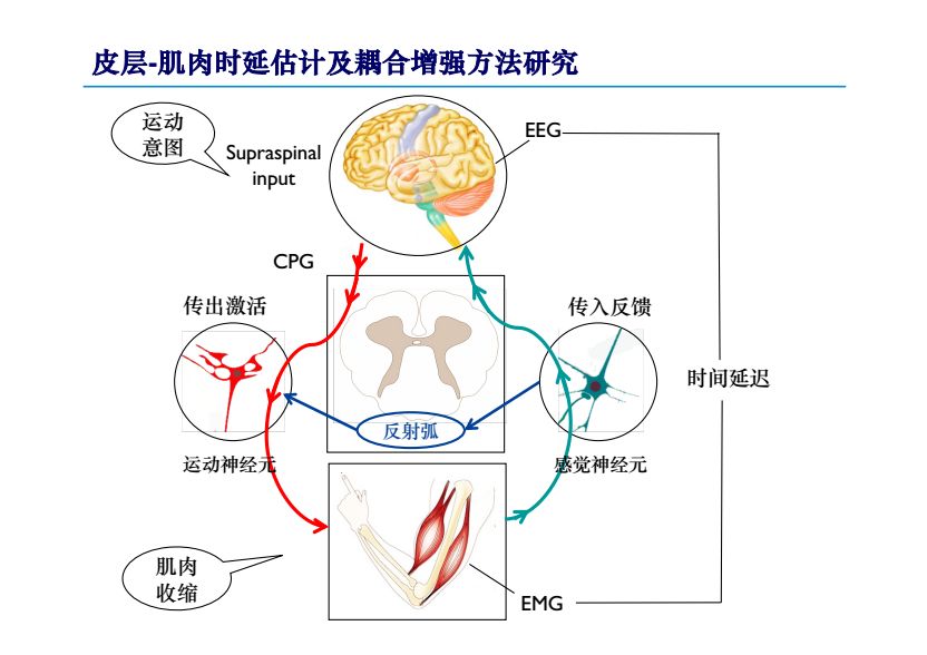 如ct,磁共振成像,肌电图与诱发电位仪等,同基于运动诱导或