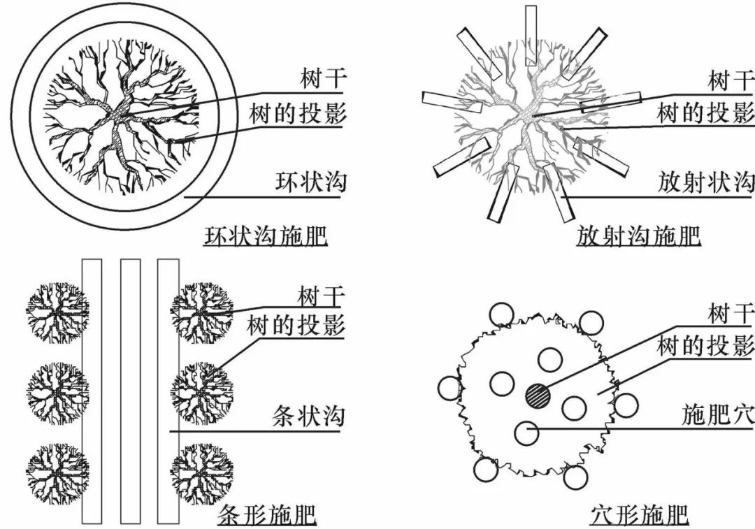 【土肥】果树秋施基肥要三定!