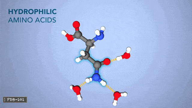 640_360gif 动态图 动图