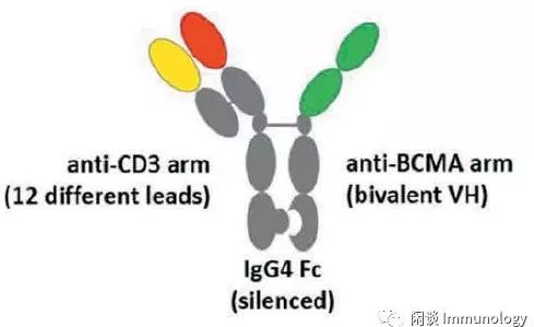 基于抗体库测序的新型双特异性抗体设计策略