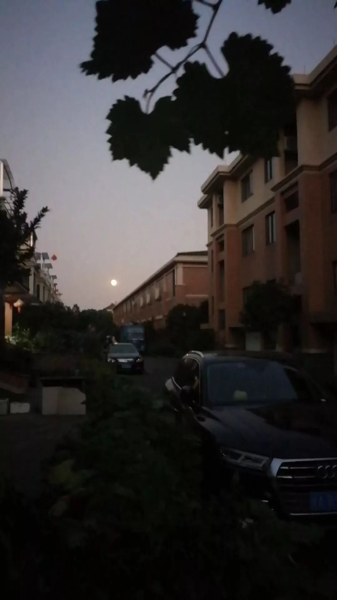 《牺牲》 怎么在网上找不到 其中女主玉儿是谁啊前些年有一部电视剧是