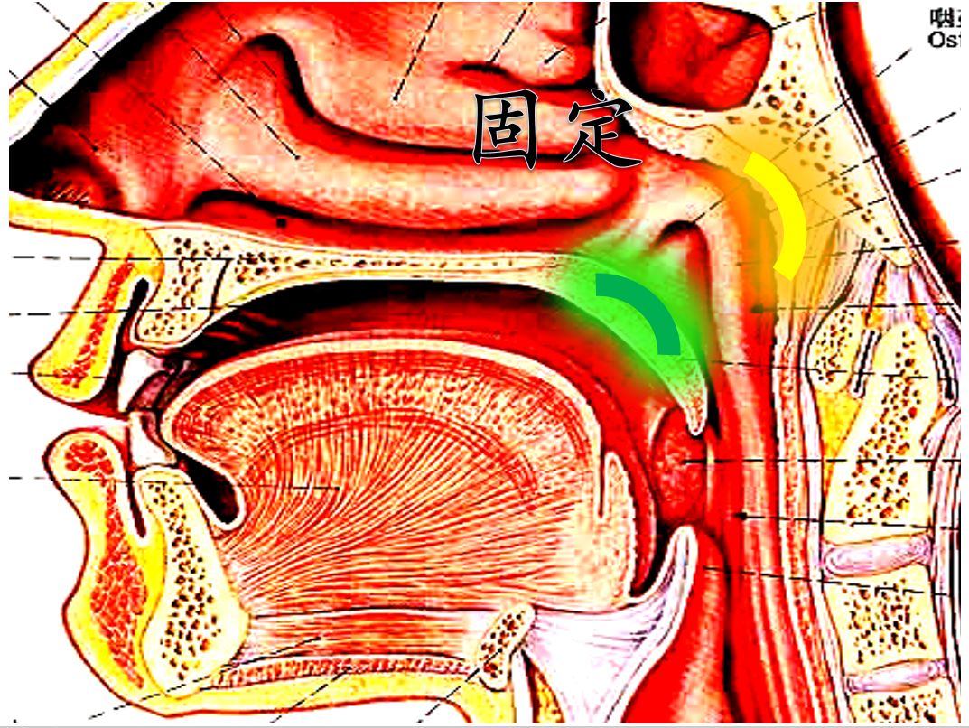 十月轻细哼鸣法部分课件展示