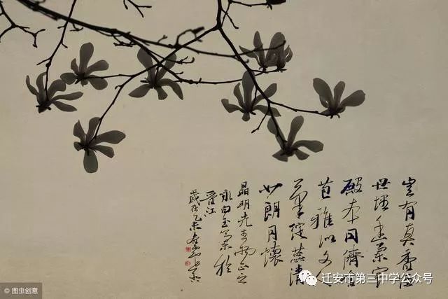 针对学生特点,扬其长,避其短在学生的学习生涯中,老师对他们的评价,在