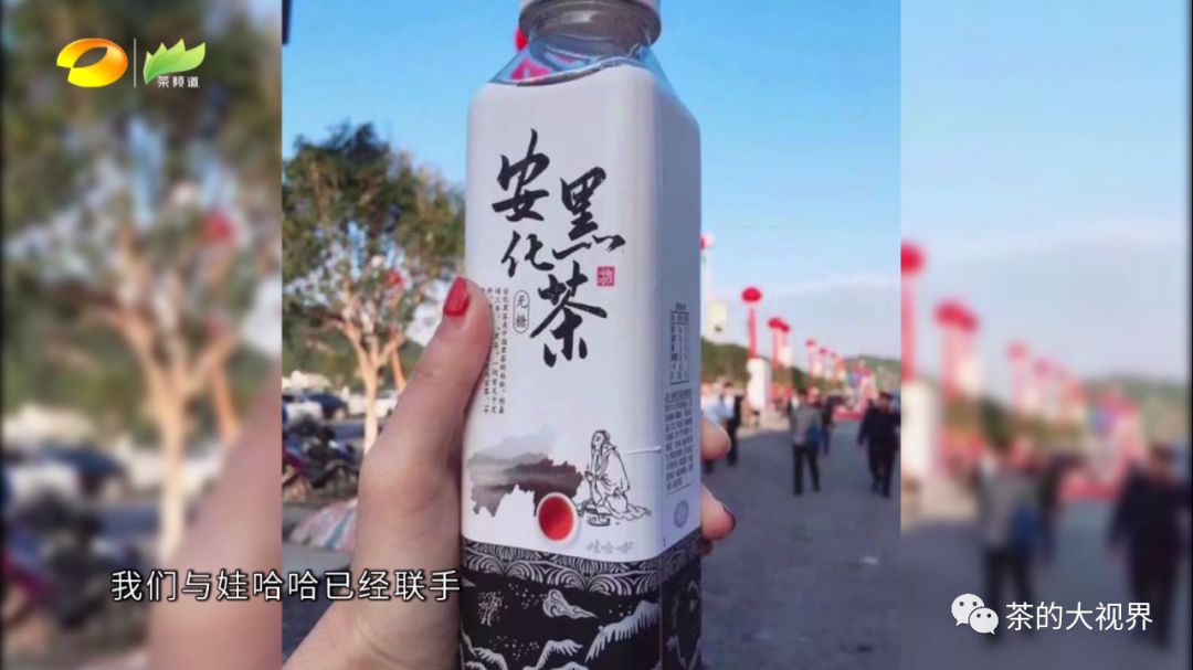 专访蒋跃登探索安化黑茶产业成功复兴的关键所在