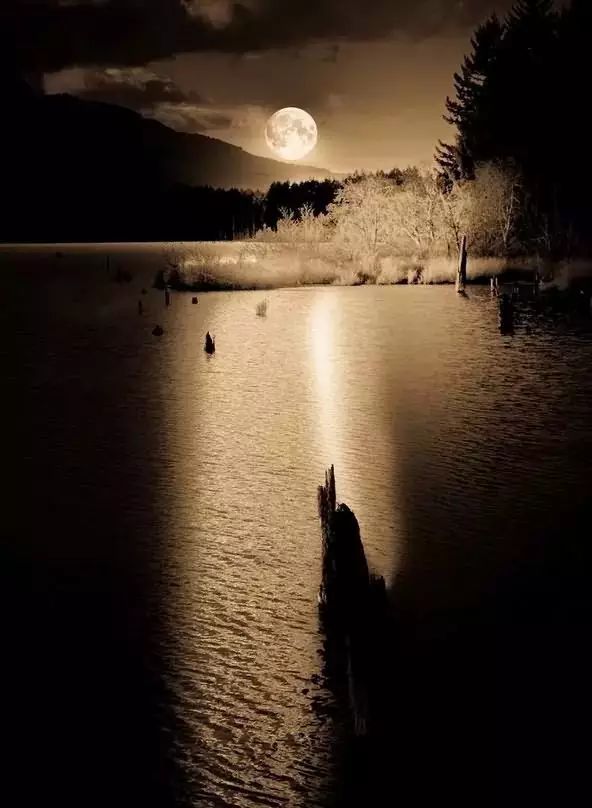 月亮出来亮汪汪图片