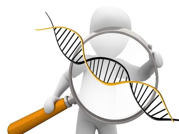 生物終於來了用超級記憶法學習生物簡單高效還有趣