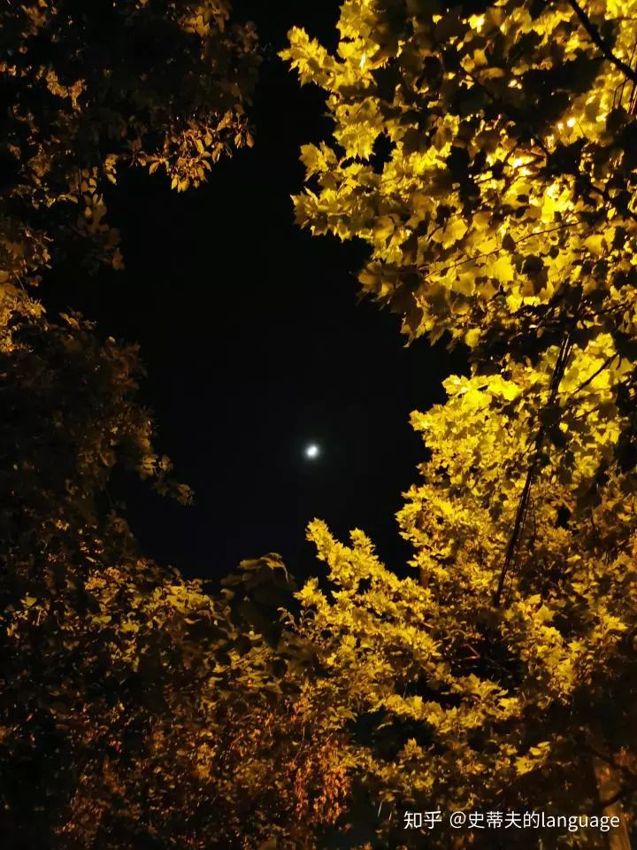 这张是端午节拍的,设备一样蔡度游学生第一步找到月亮第二步找到恰当