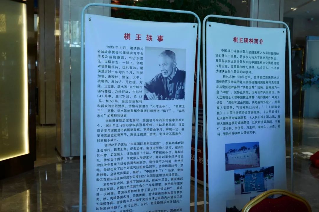 2019温州市首届谢侠逊棋王杯儿童国际象棋比赛热闹举行