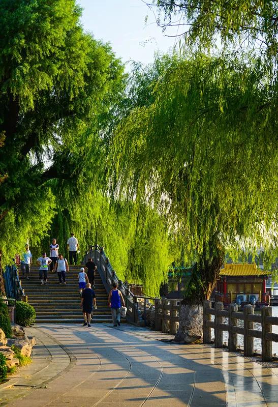 曾堤萦水忆曾巩济南山水的旷世知音