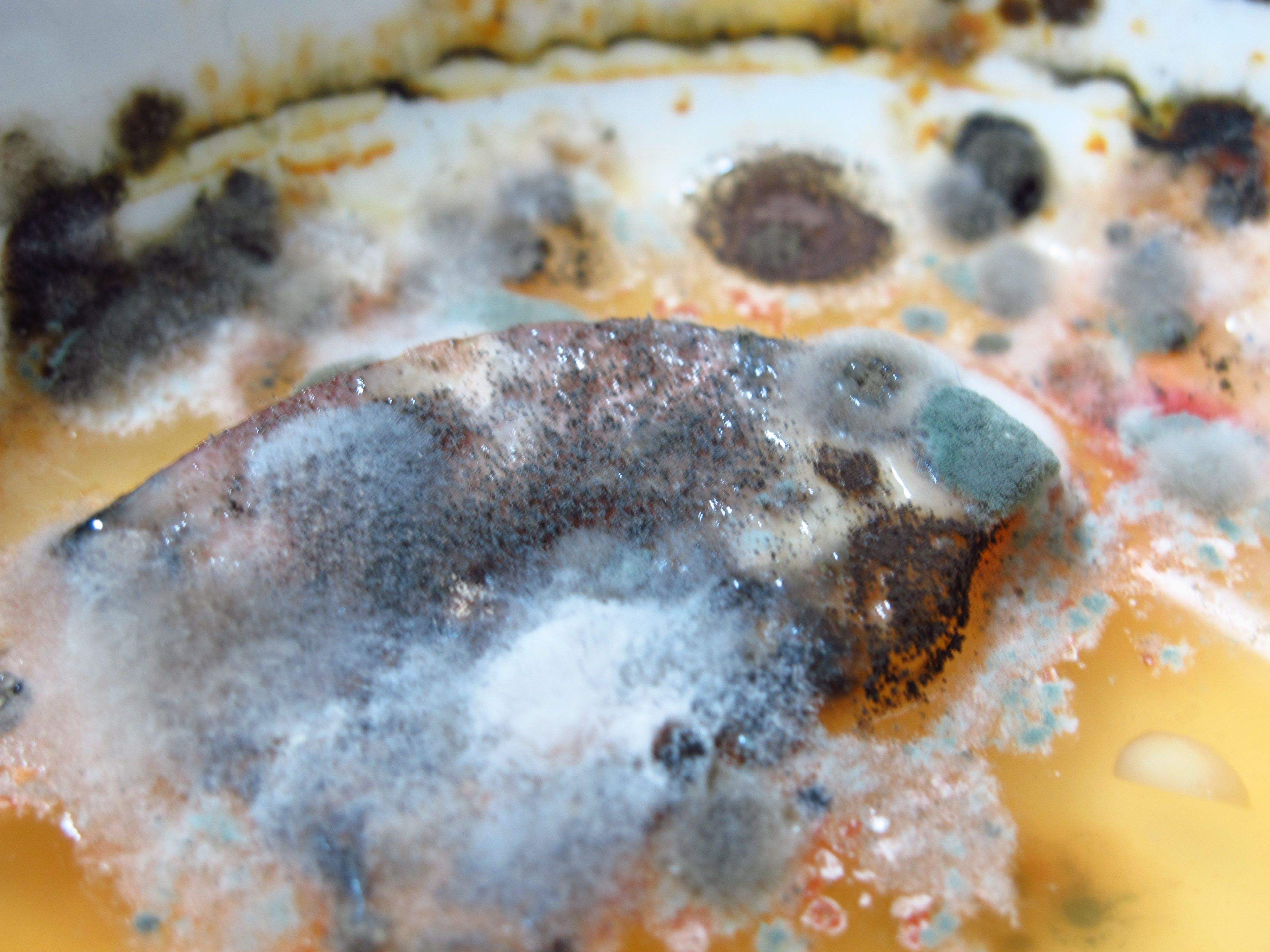 "五大点"告诉你怎么找出房屋管道漏水_霉菌