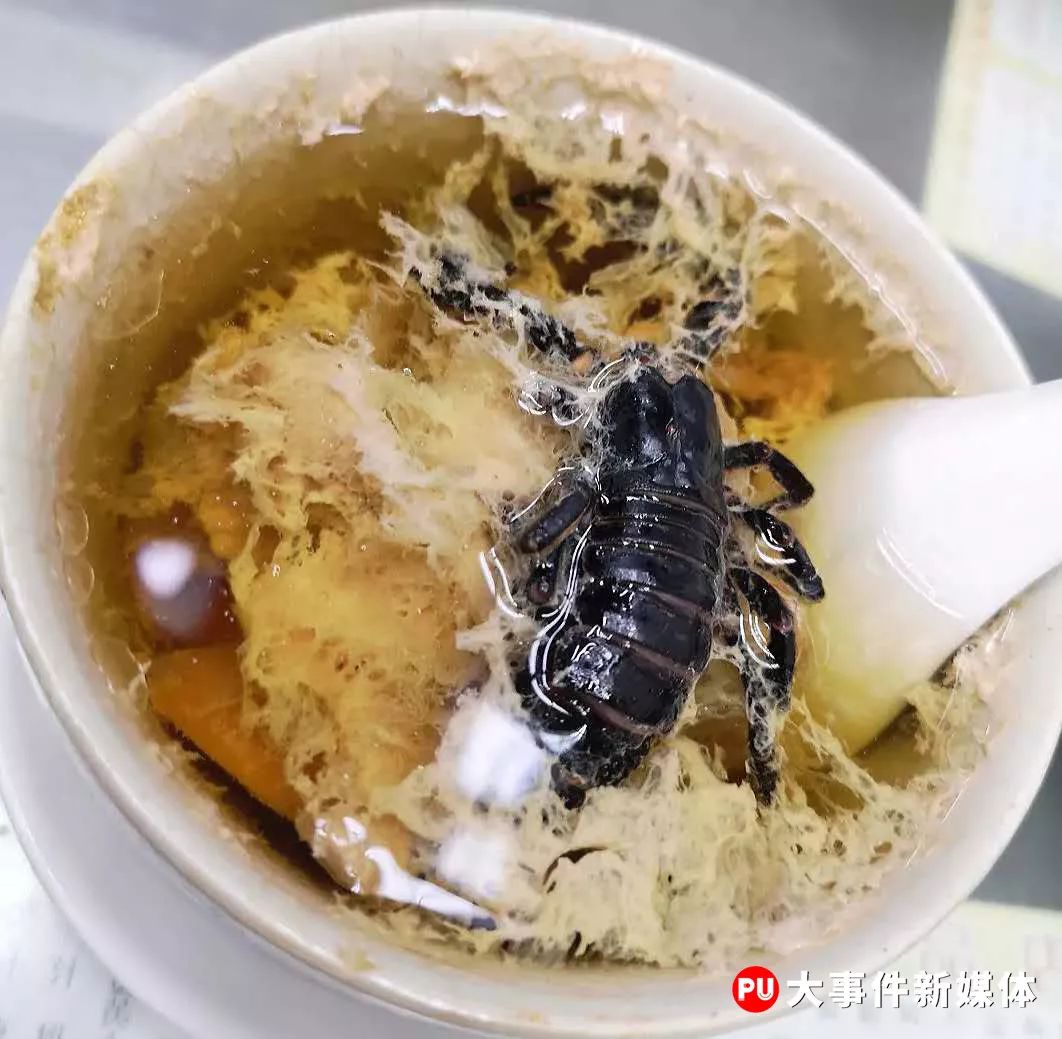 承包了附近街坊的汤水蝎子水蛇炖瘦肉可不是家家炖汤