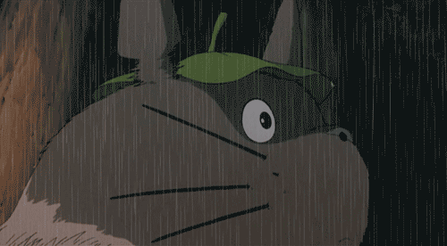 500_276gif 动态图 动图