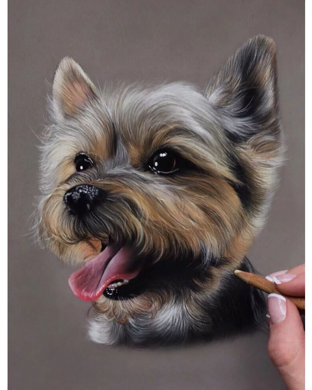 彩铅要学多好才能画出这样的超写实