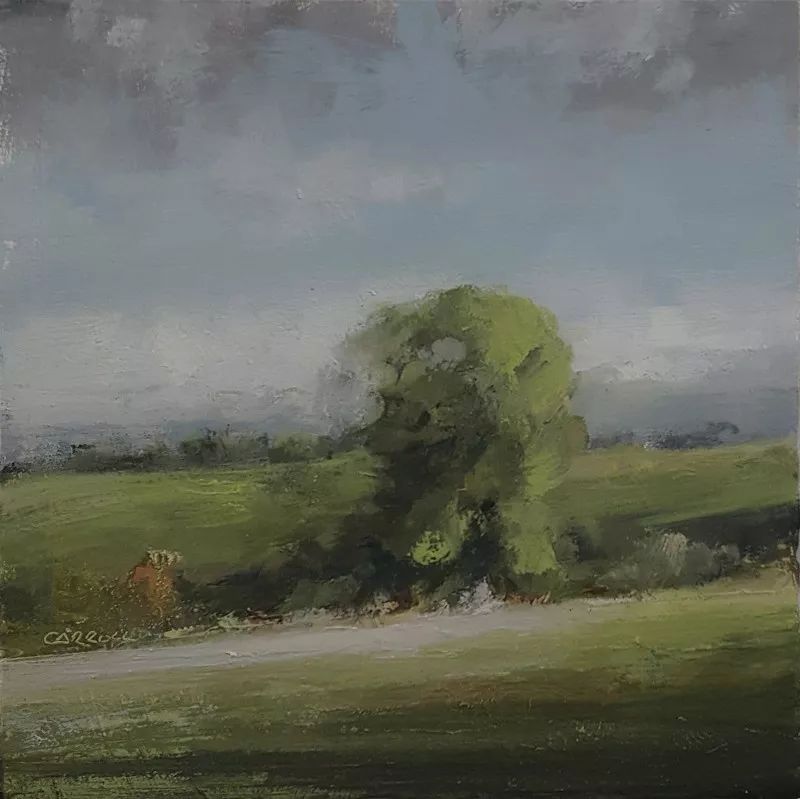 静物花卉与风景英国画家neilcarroll系列4