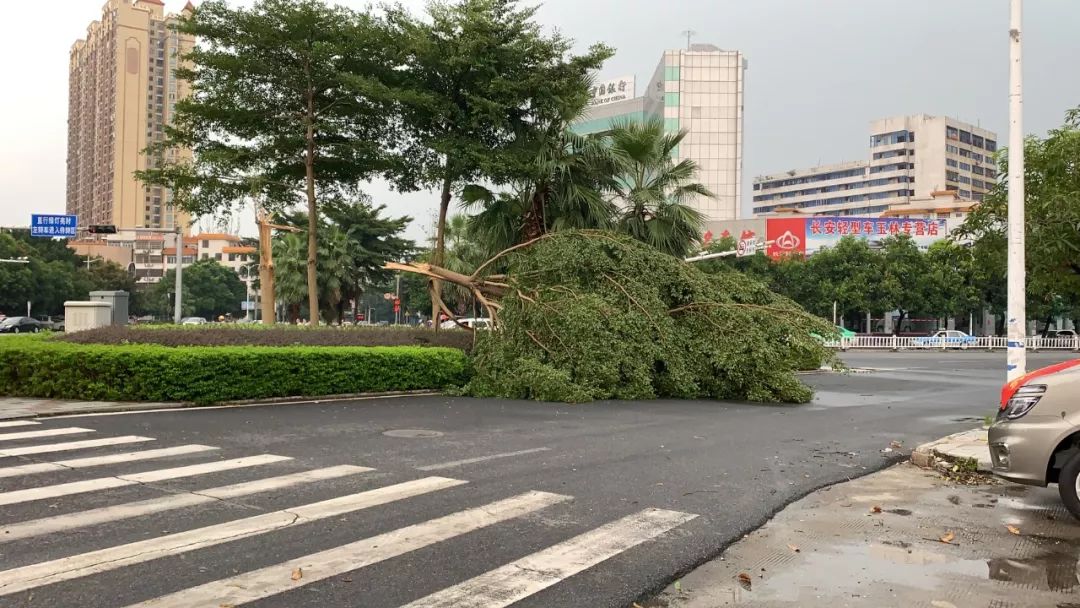 午后时分妖风突然来袭,玉林城区一片狼藉.