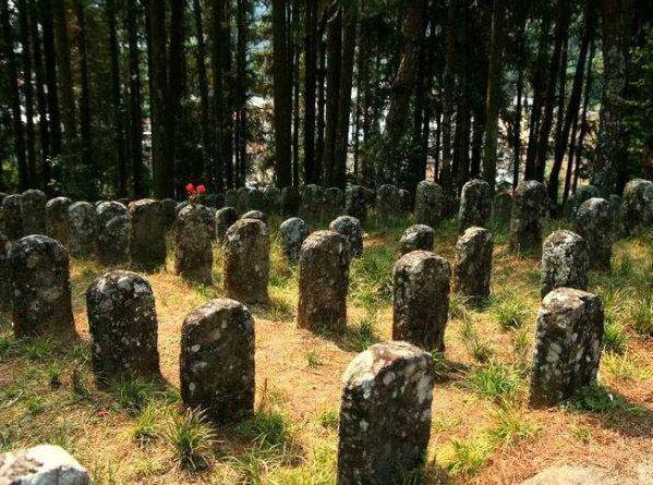 日军也经历过一次败走野人山比中国远征军损失更惨重