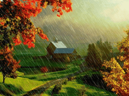 430_320gif 动态图 动图