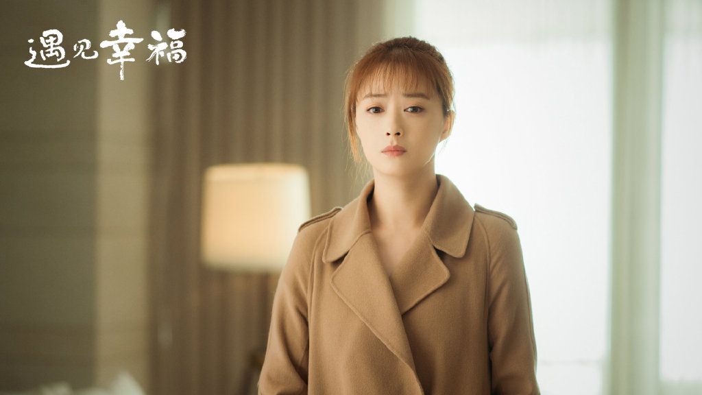 现实题材的电视剧《遇见幸福》不像我们看到的那样幸福,家家有本难念