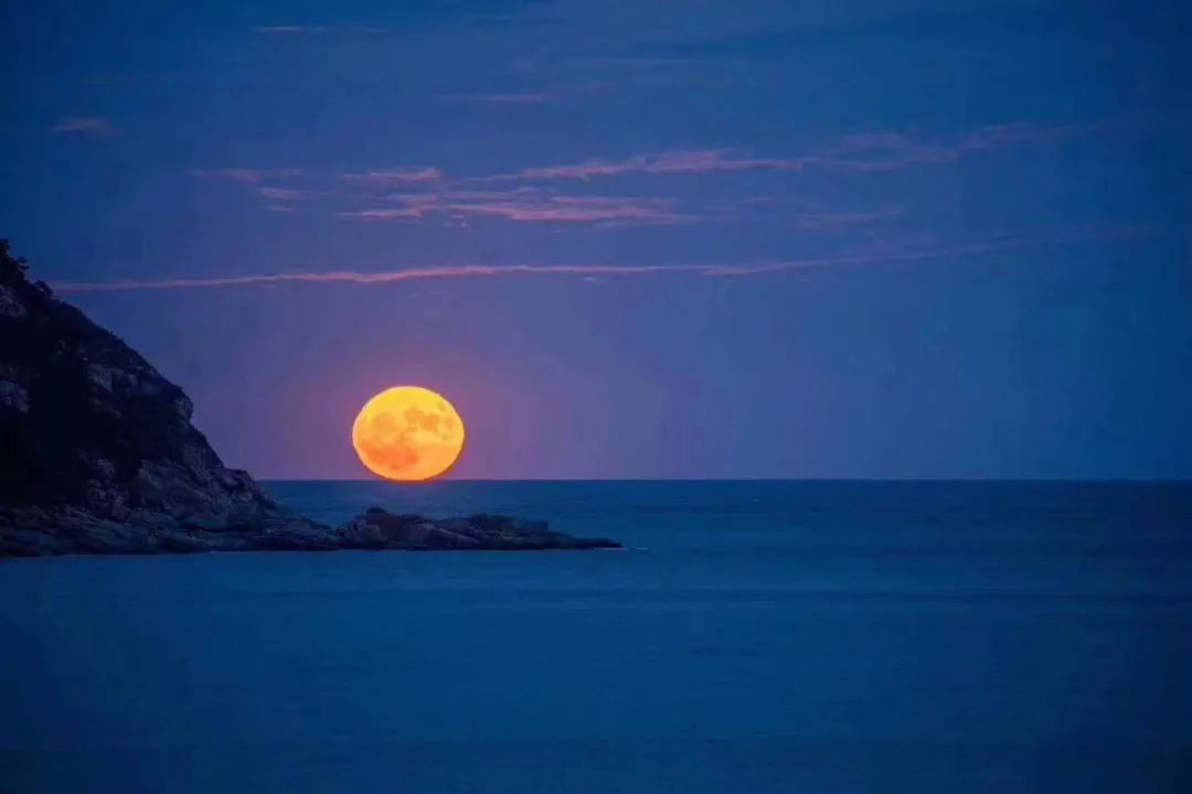 lily 春江潮水连海平,海上明月共潮生.