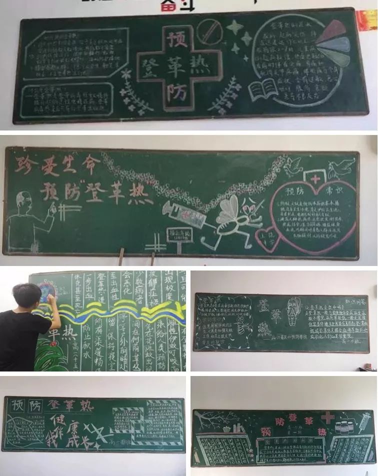 与其谈蚊色变不如及早预防,让登革热无路可走.