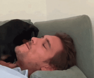 原创当狗子想玩耍,铲屎官却想睡觉时,千万不要打哈欠