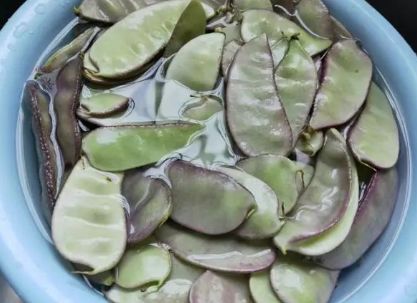 红扁豆500克,蒜粒6个,红菜椒1个,香葱2根,猪耳朵200克【红扁豆炒猪耳