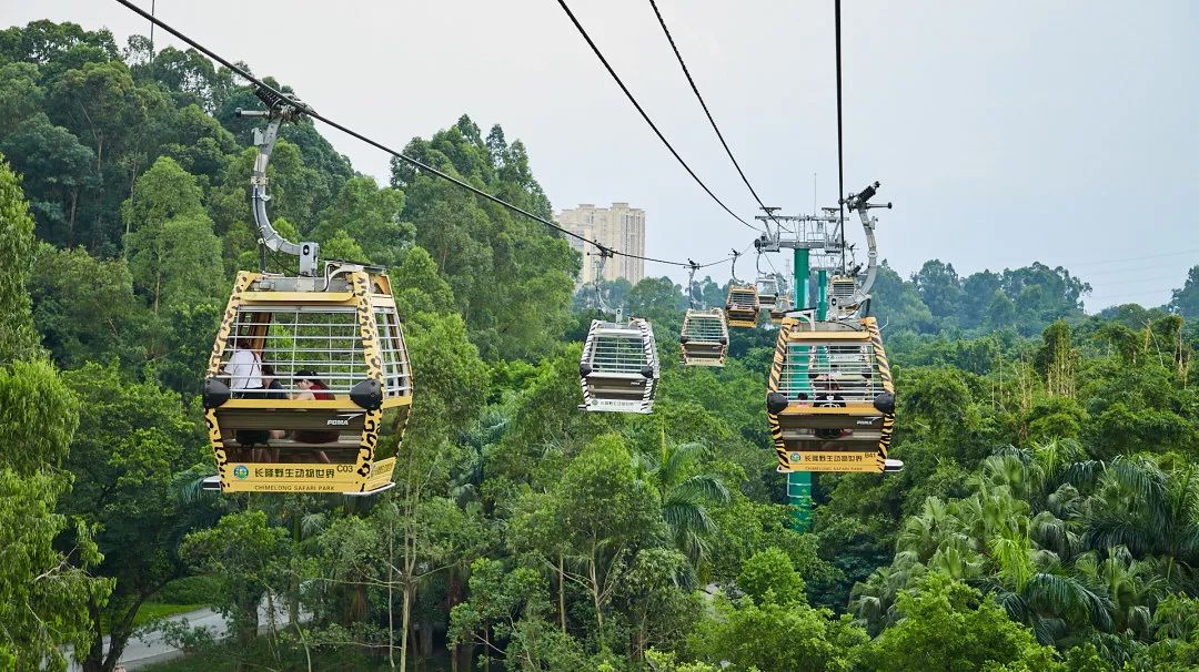 广州这些小可爱又在「萌」混过关!