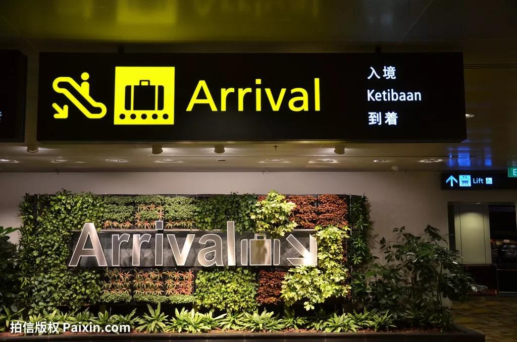 新加坡樟宜机场入境处位于flight 1,下飞机后根据机场"arrival 入境"