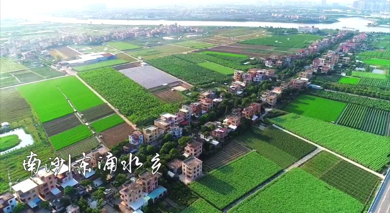 还去什么江南小镇来南沙这个水乡风景美得让人不可思议